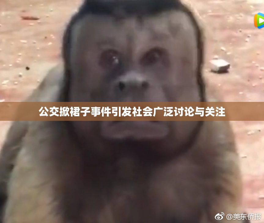 公交掀裙子事件引发社会广泛讨论与关注