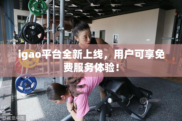 igao平台全新上线，用户可享免费服务体验！