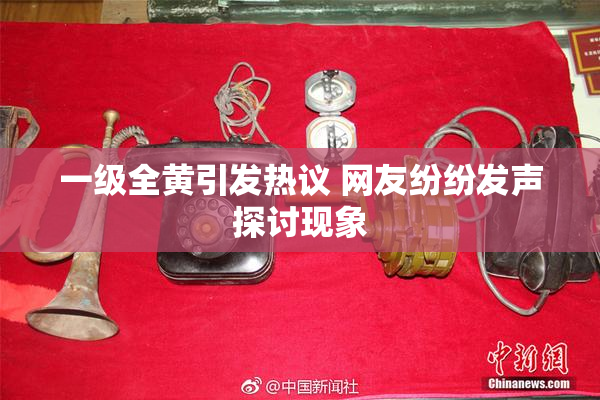 一级全黄引发热议 网友纷纷发声探讨现象