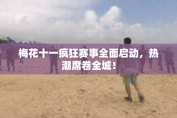 梅花十一疯狂赛事全面启动，热潮席卷全城！