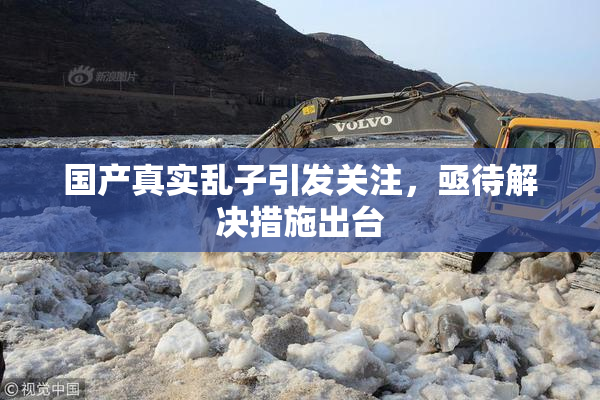 国产真实乱子引发关注，亟待解决措施出台