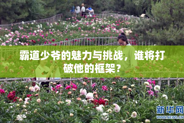 霸道少爷的魅力与挑战，谁将打破他的框架？