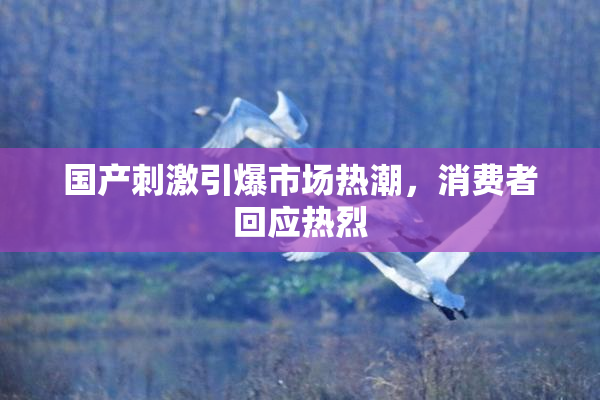 国产刺激引爆市场热潮，消费者回应热烈
