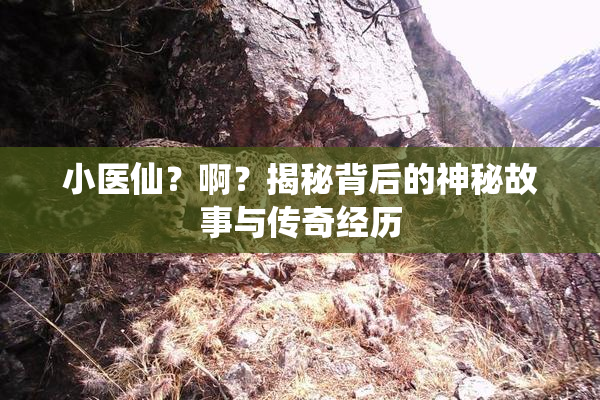 小医仙？啊？揭秘背后的神秘故事与传奇经历