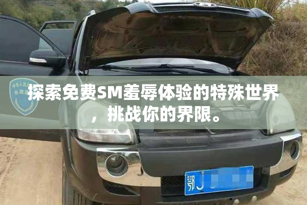 探索免费SM羞辱体验的特殊世界，挑战你的界限。