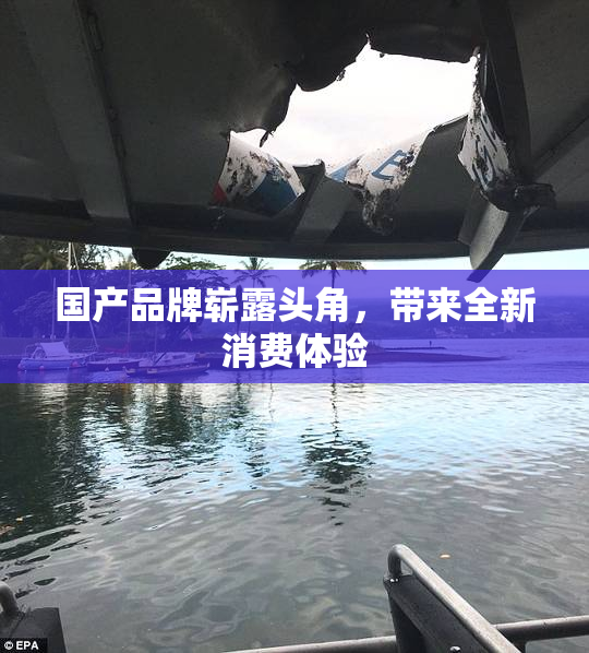 国产品牌崭露头角，带来全新消费体验