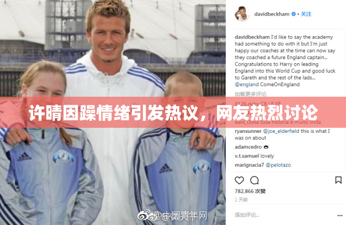 许晴因躁情绪引发热议，网友热烈讨论