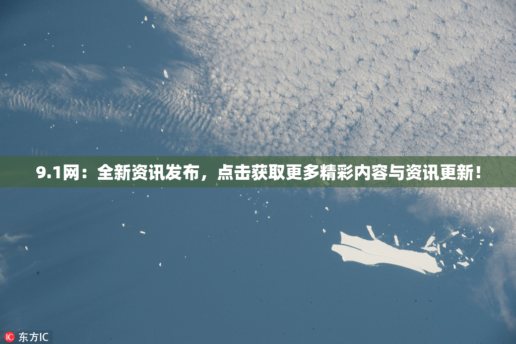 9.1网：全新资讯发布，点击获取更多精彩内容与资讯更新！