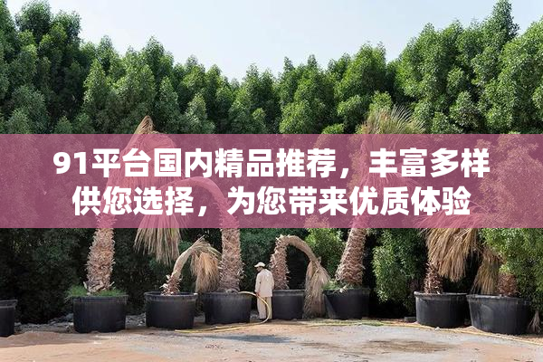 91平台国内精品推荐，丰富多样供您选择，为您带来优质体验