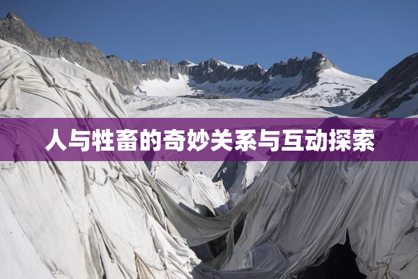 人与牲畜的奇妙关系与互动探索