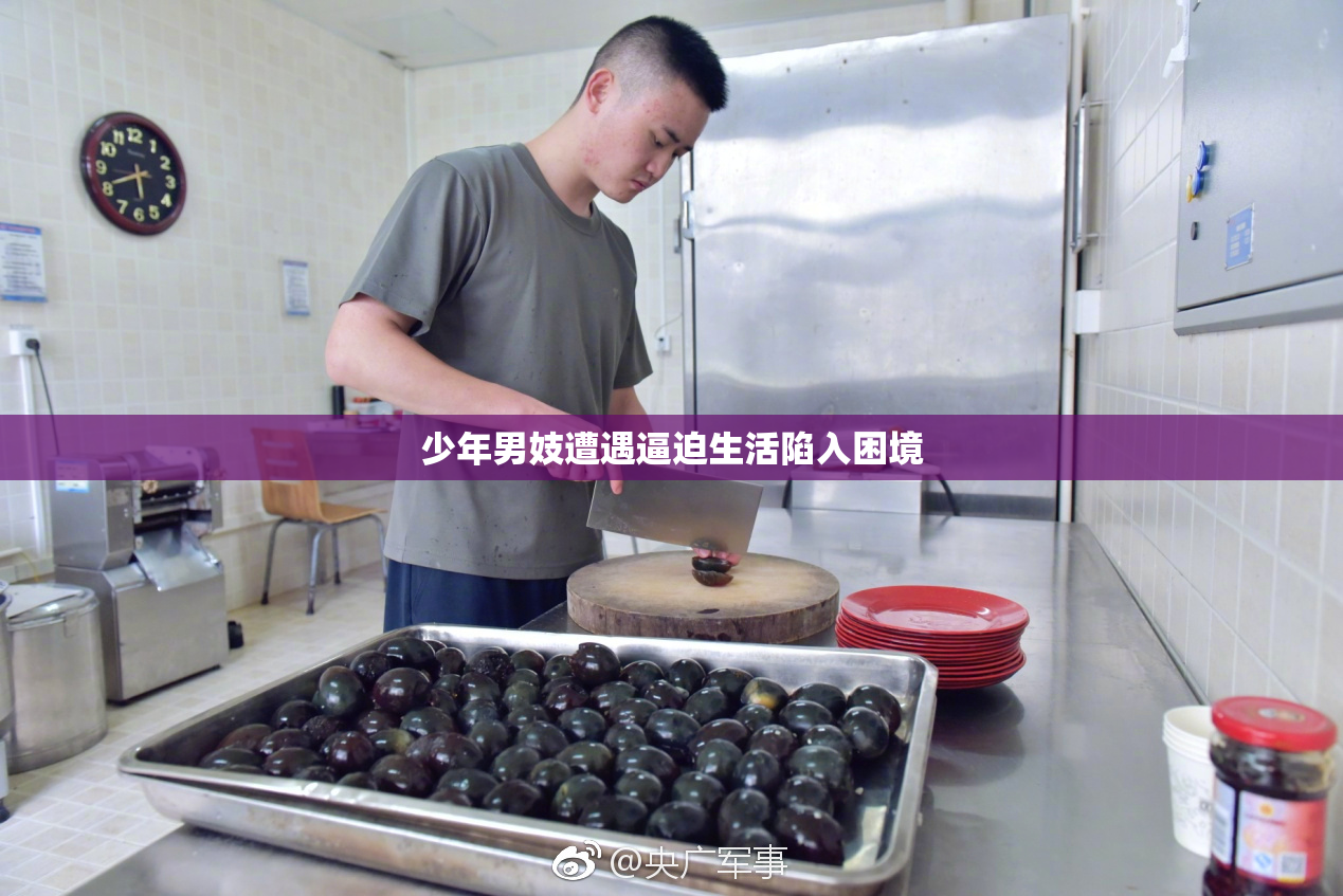 少年男妓遭遇逼迫生活陷入困境