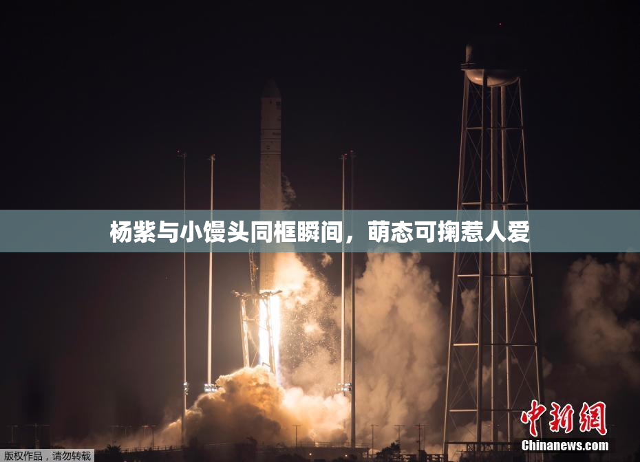 杨紫与小馒头同框瞬间，萌态可掬惹人爱