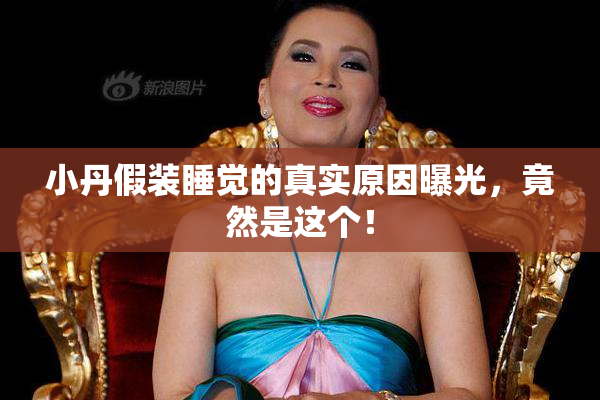 小丹假装睡觉的真实原因曝光，竟然是这个！