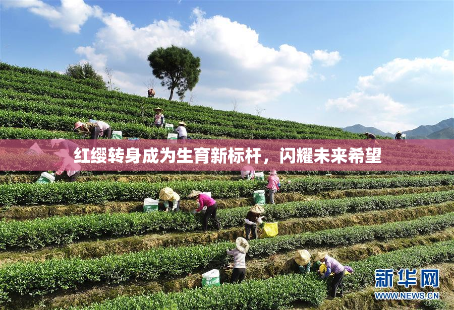 红缨转身成为生育新标杆，闪耀未来希望
