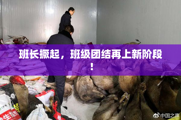 班长撅起，班级团结再上新阶段！