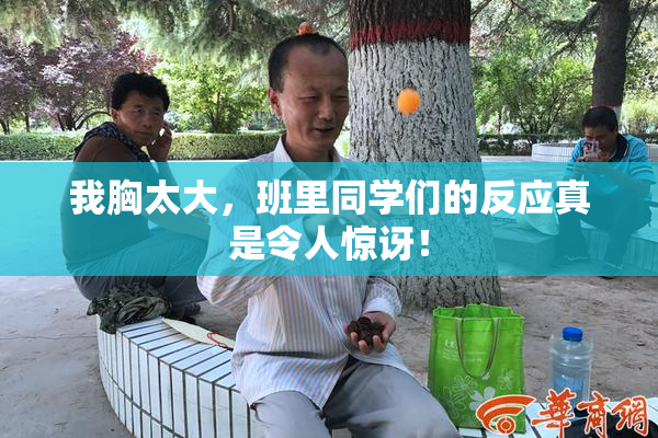 我胸太大，班里同学们的反应真是令人惊讶！