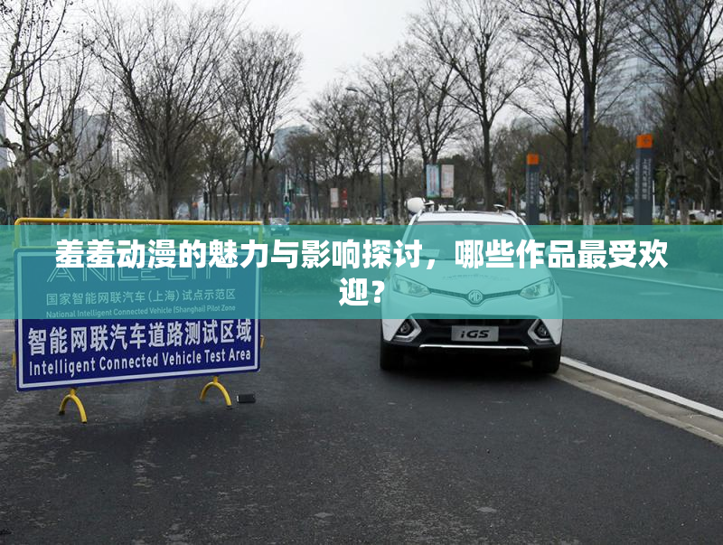 羞羞动漫的魅力与影响探讨，哪些作品最受欢迎？
