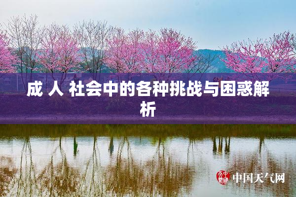 成 人 社会中的各种挑战与困惑解析