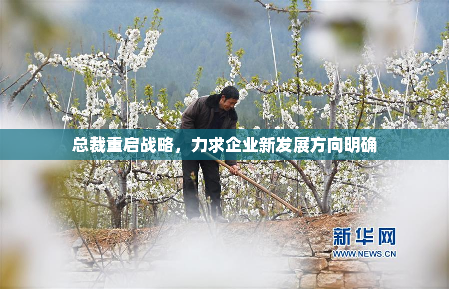 总裁重启战略，力求企业新发展方向明确