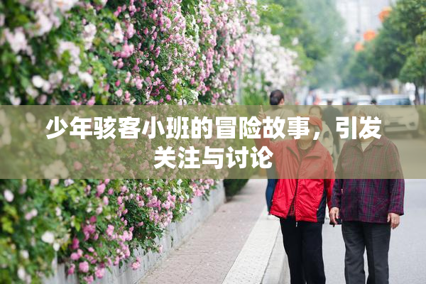 少年骇客小班的冒险故事，引发关注与讨论