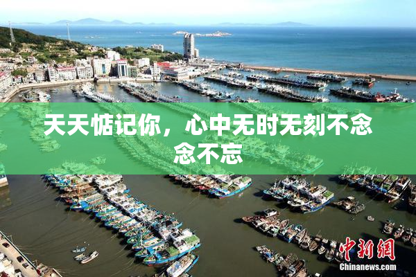 天天惦记你，心中无时无刻不念念不忘