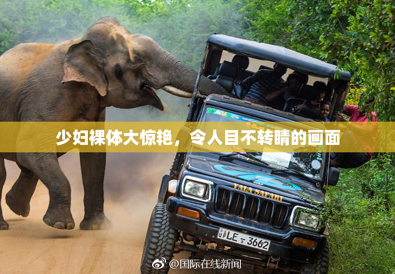少妇裸体大惊艳，令人目不转睛的画面