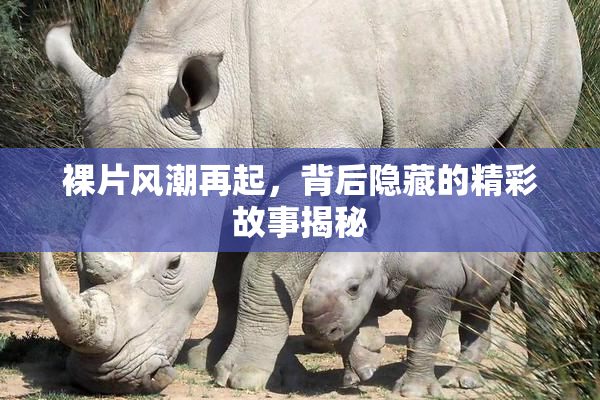 裸片风潮再起，背后隐藏的精彩故事揭秘