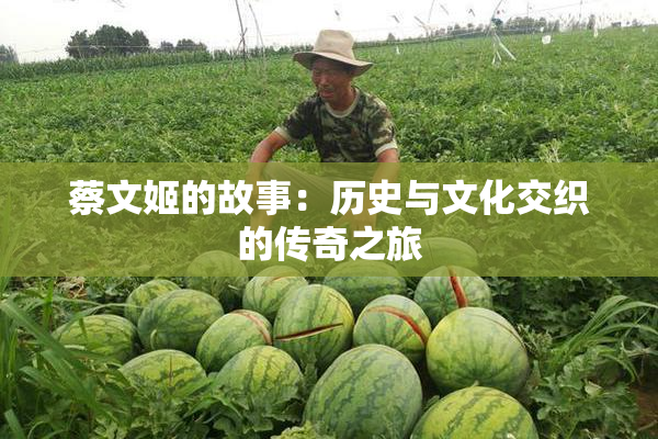 蔡文姬的故事：历史与文化交织的传奇之旅