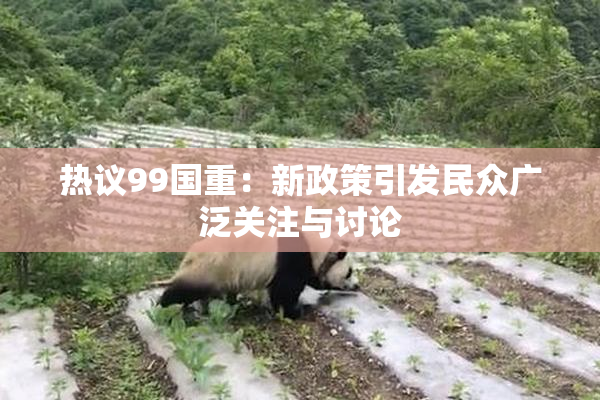 热议99国重：新政策引发民众广泛关注与讨论