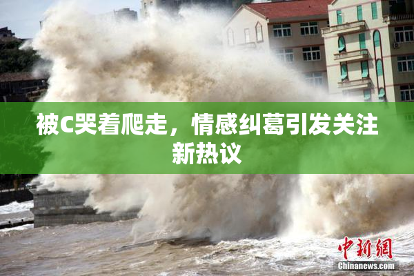 被C哭着爬走，情感纠葛引发关注新热议