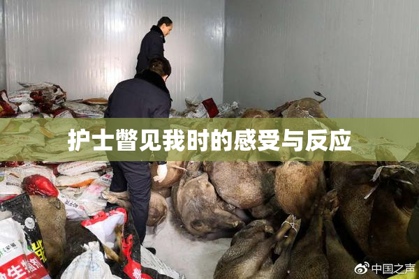 护士瞥见我时的感受与反应