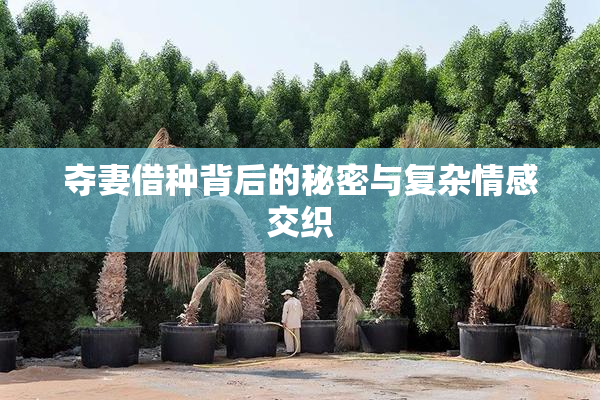 夺妻借种背后的秘密与复杂情感交织