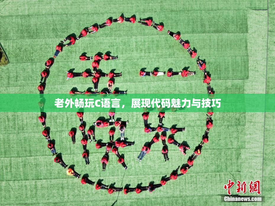 老外畅玩C语言，展现代码魅力与技巧