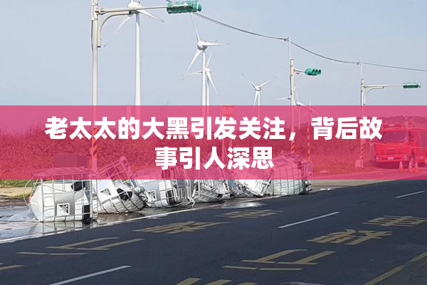 老太太的大黑引发关注，背后故事引人深思