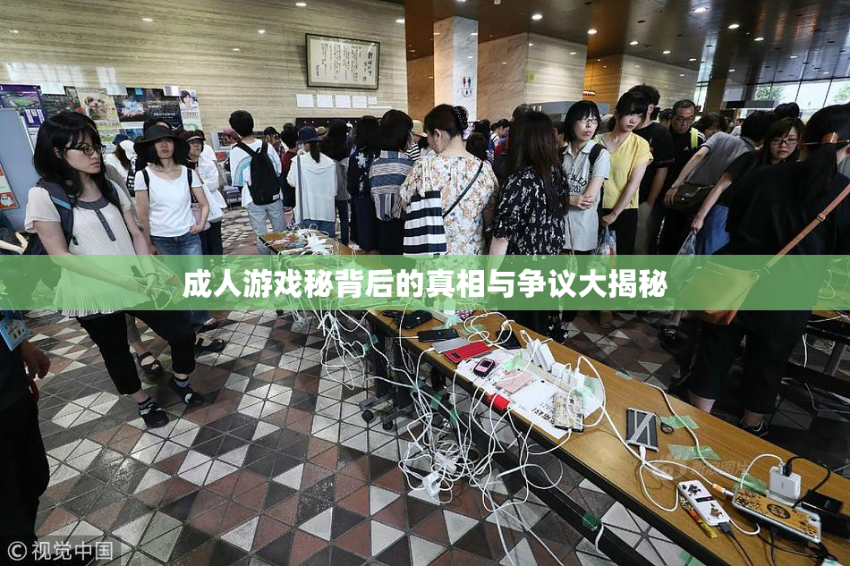 成人游戏秘背后的真相与争议大揭秘