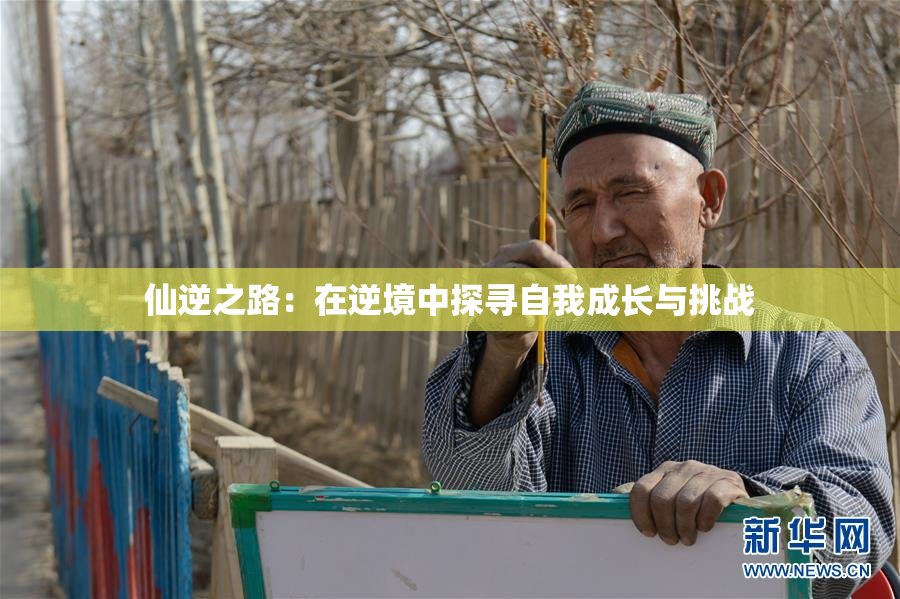 仙逆之路：在逆境中探寻自我成长与挑战