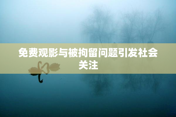 免费观影与被拘留问题引发社会关注