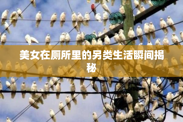 美女在厕所里的另类生活瞬间揭秘