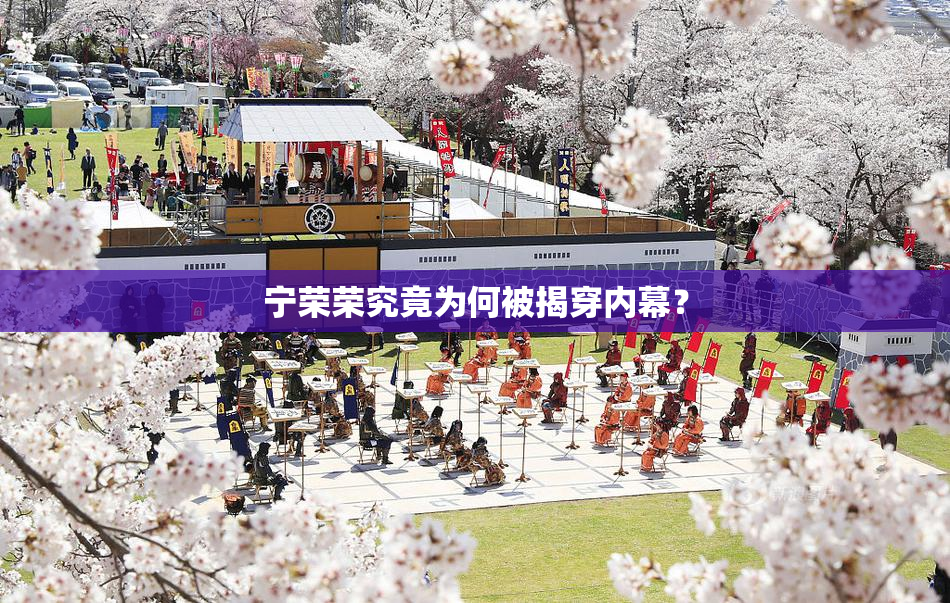 宁荣荣究竟为何被揭穿内幕？
