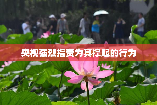 央视强烈指责为其撑起的行为
