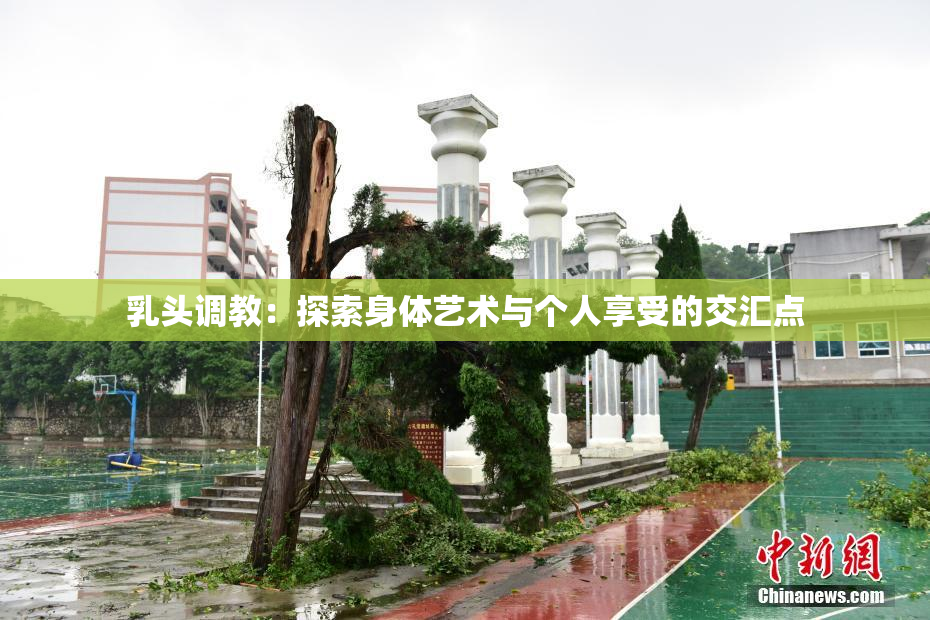 乳头调教：探索身体艺术与个人享受的交汇点
