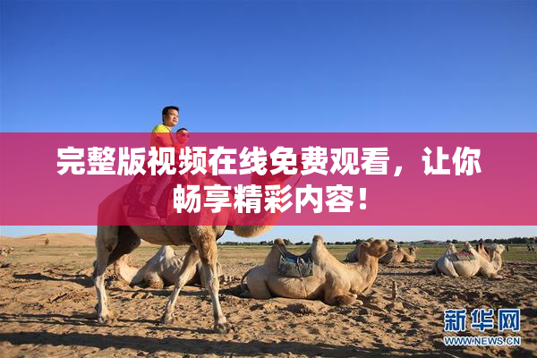 完整版视频在线免费观看，让你畅享精彩内容！