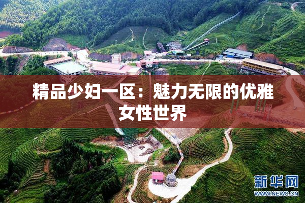 精品少妇一区：魅力无限的优雅女性世界