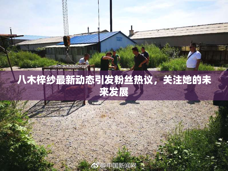 八木梓纱最新动态引发粉丝热议，关注她的未来发展