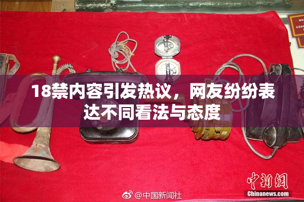 18禁内容引发热议，网友纷纷表达不同看法与态度