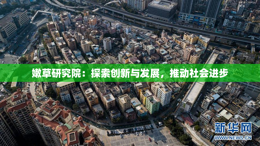 嫩草研究院：探索创新与发展，推动社会进步