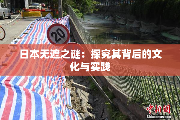 日本无遮之谜：探究其背后的文化与实践