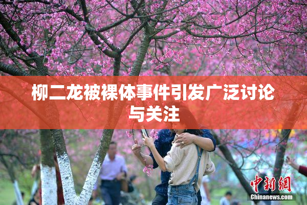 柳二龙被裸体事件引发广泛讨论与关注