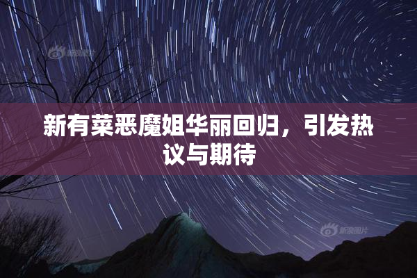 新有菜恶魔姐华丽回归，引发热议与期待