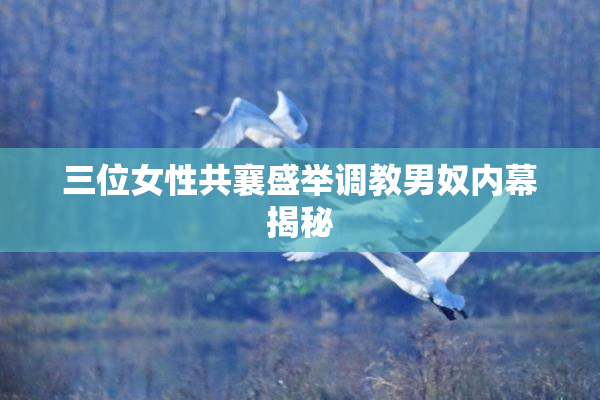 三位女性共襄盛举调教男奴内幕揭秘